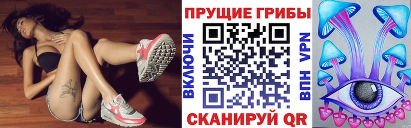 Псилоцибиновые грибы Psilocybe  Лахденпохья 
